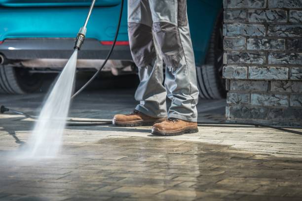 Best Soft Washing  in Hallandale Beach, FL