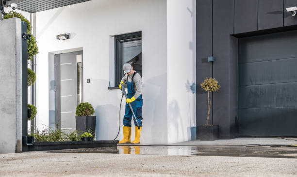 Best Sidewalk and Walkway Cleaning  in Hallandale Beach, FL